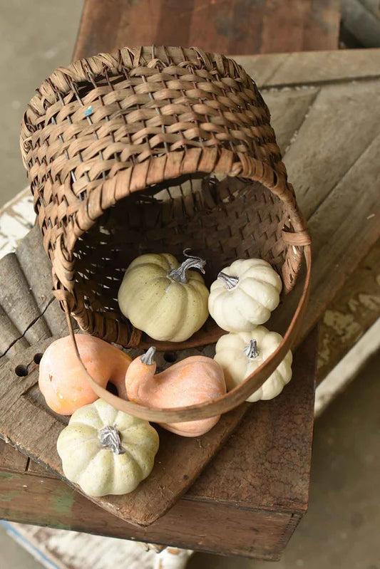 Fall's Folly Bagged Mini Pumpkins Mixed