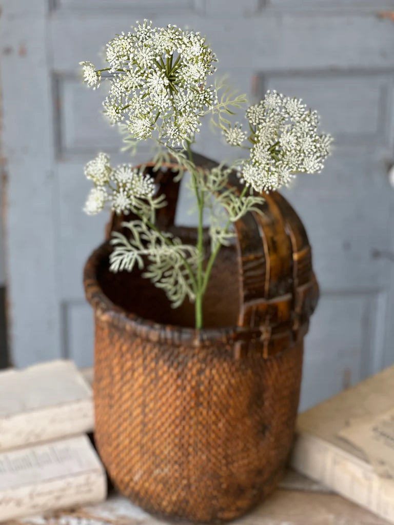Queen Anne's Lace Floral Stem | Cream