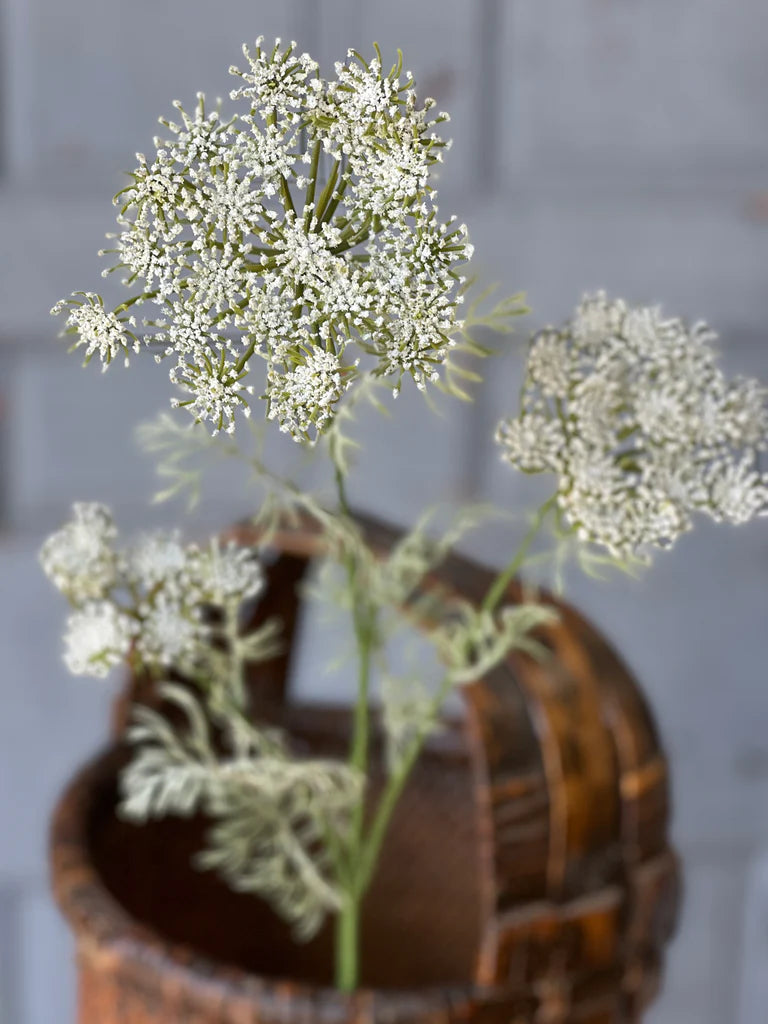 Queen Anne's Lace Floral Stem | Cream