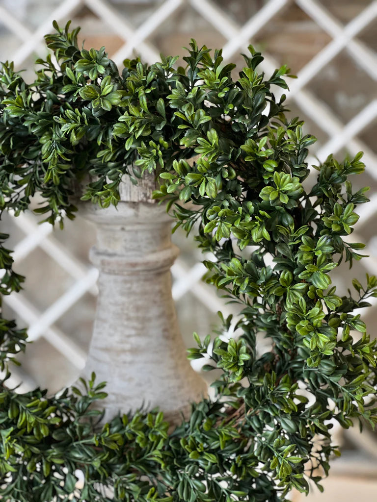 Gailee Boxwood Wreath | 18"