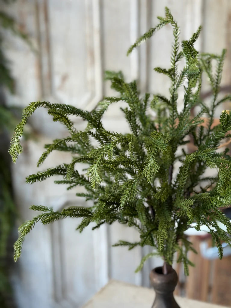 Greenwood Valley Bush | 20"