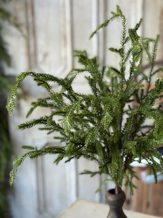 Greenwood Valley Bush | 20"