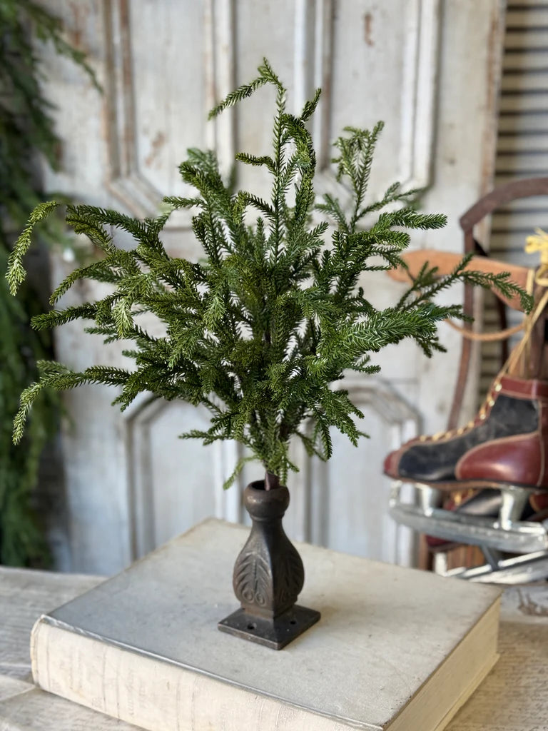 Greenwood Valley Bush | 20"