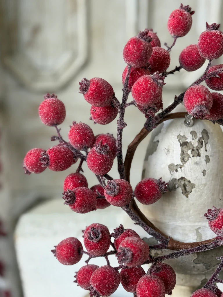 Iced Everberry Candle Ring | 12"