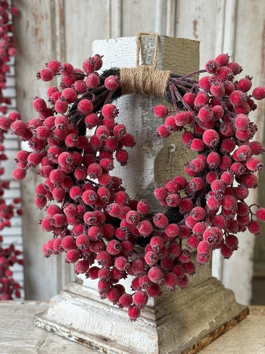 Iced Everberry Hanging Wreath | 20"