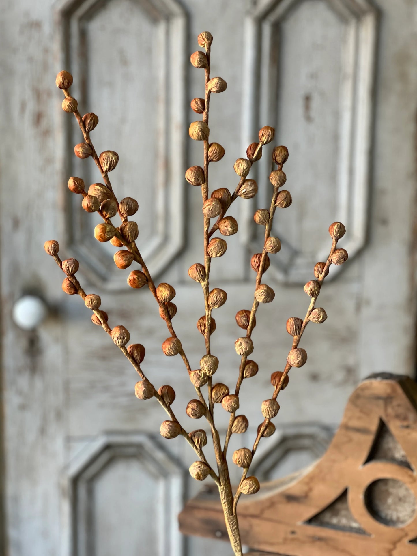 36" Maize Shawl Buds Stem