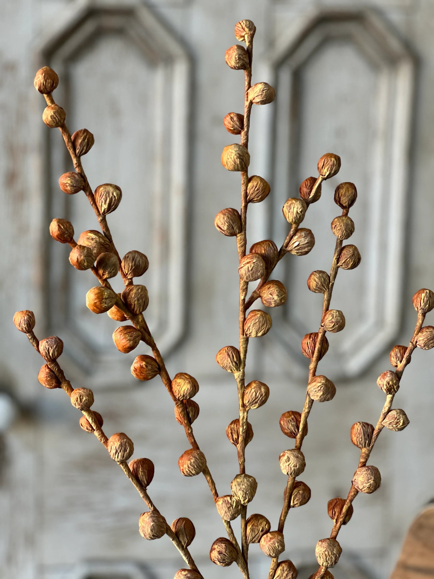 36" Maize Shawl Buds Stem