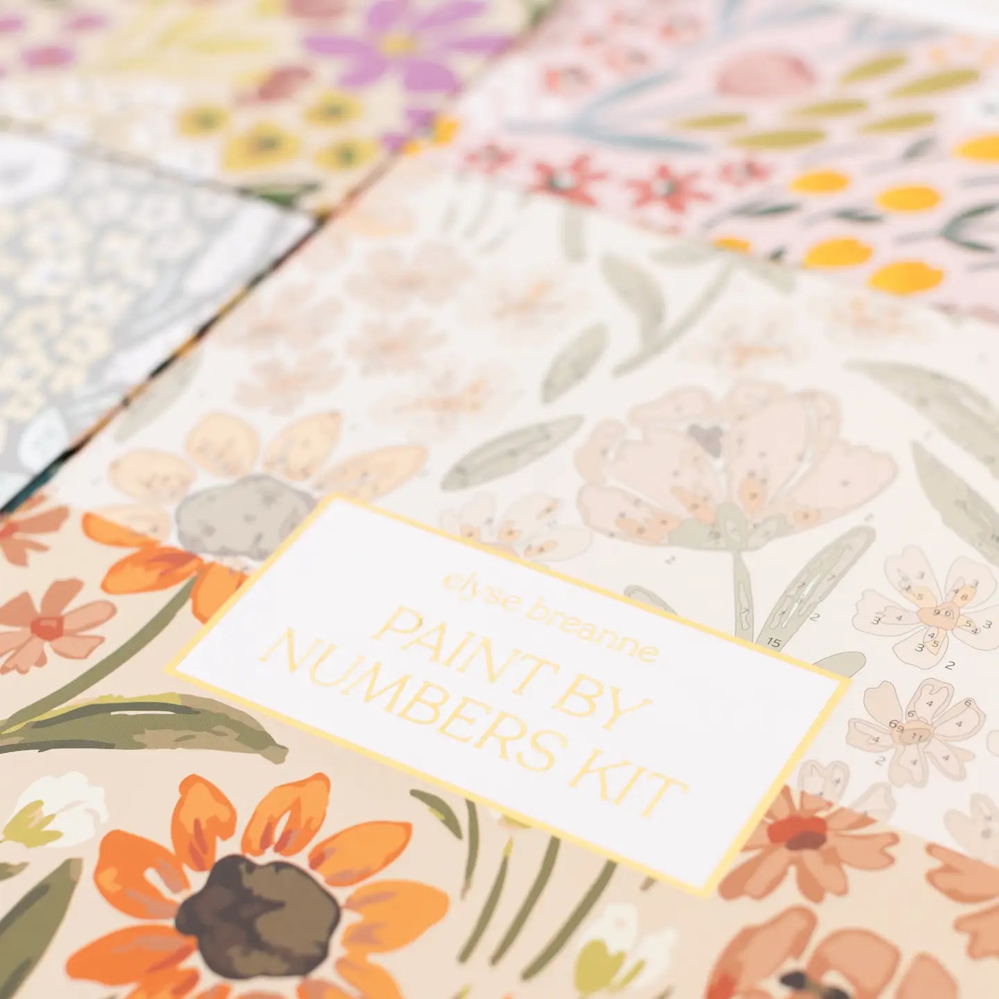 Paint By Numbers Kit | Sunny Poppies