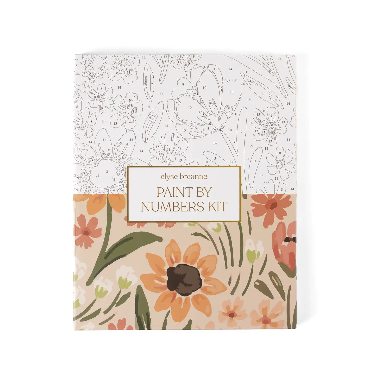 Paint By Numbers Kit | Sunny Poppies