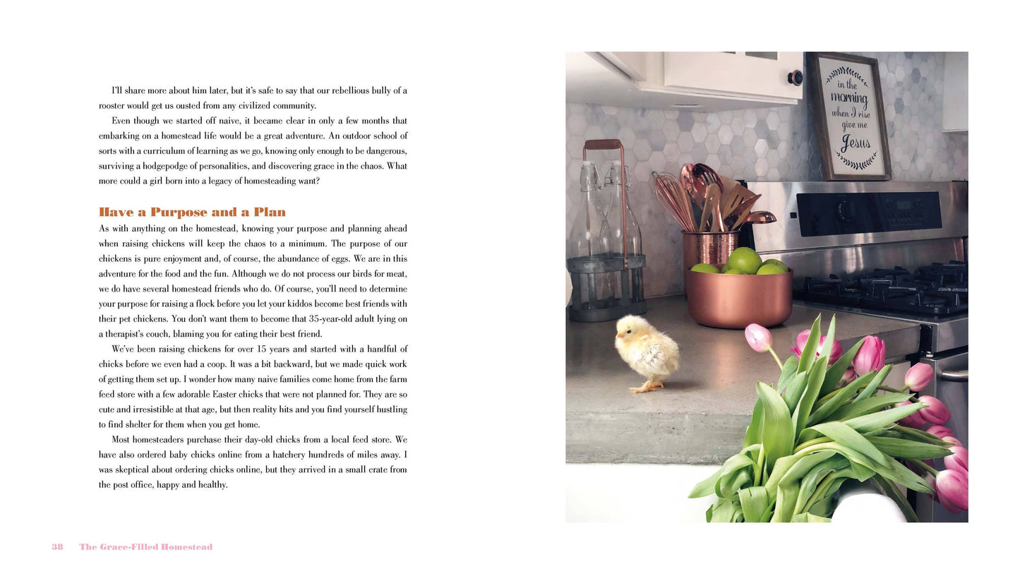 The Grace-Filled Homestead | Hardcover