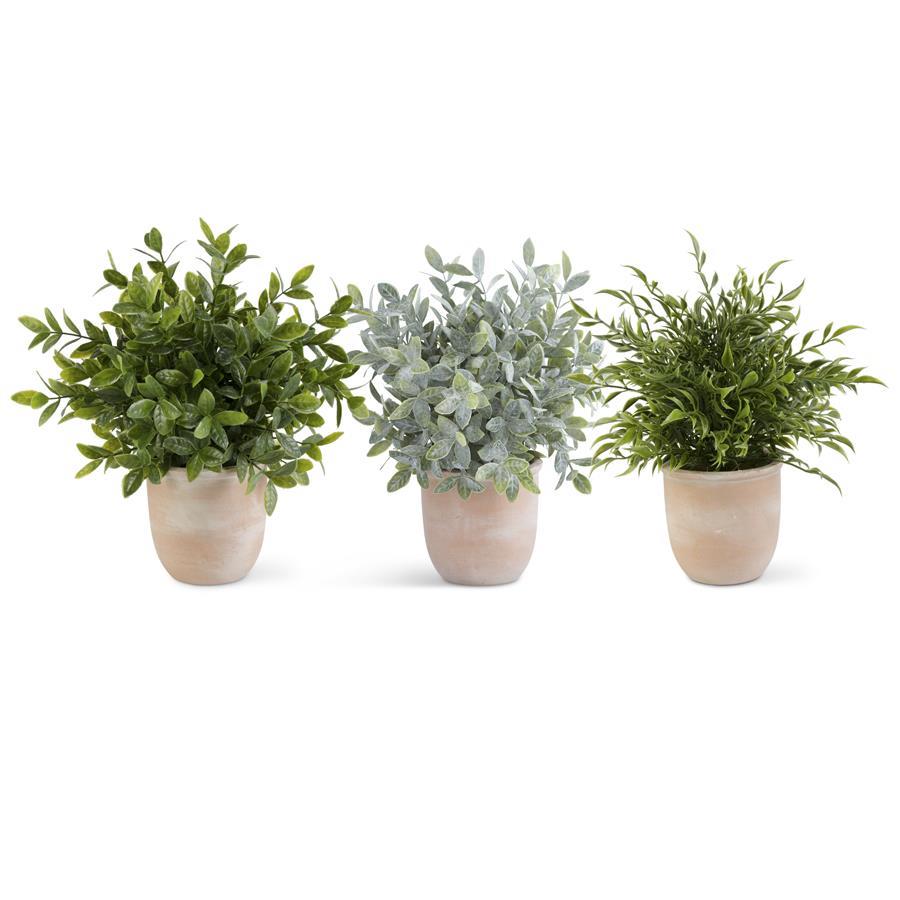 Herb in Terracotta Pot | 13"