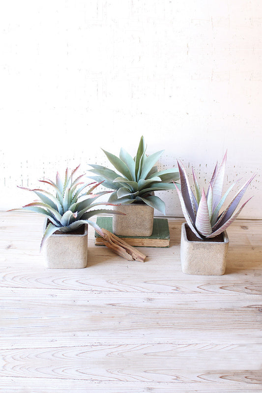 Artificial succulent in square pot
